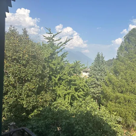 Coppa 2* Dazio